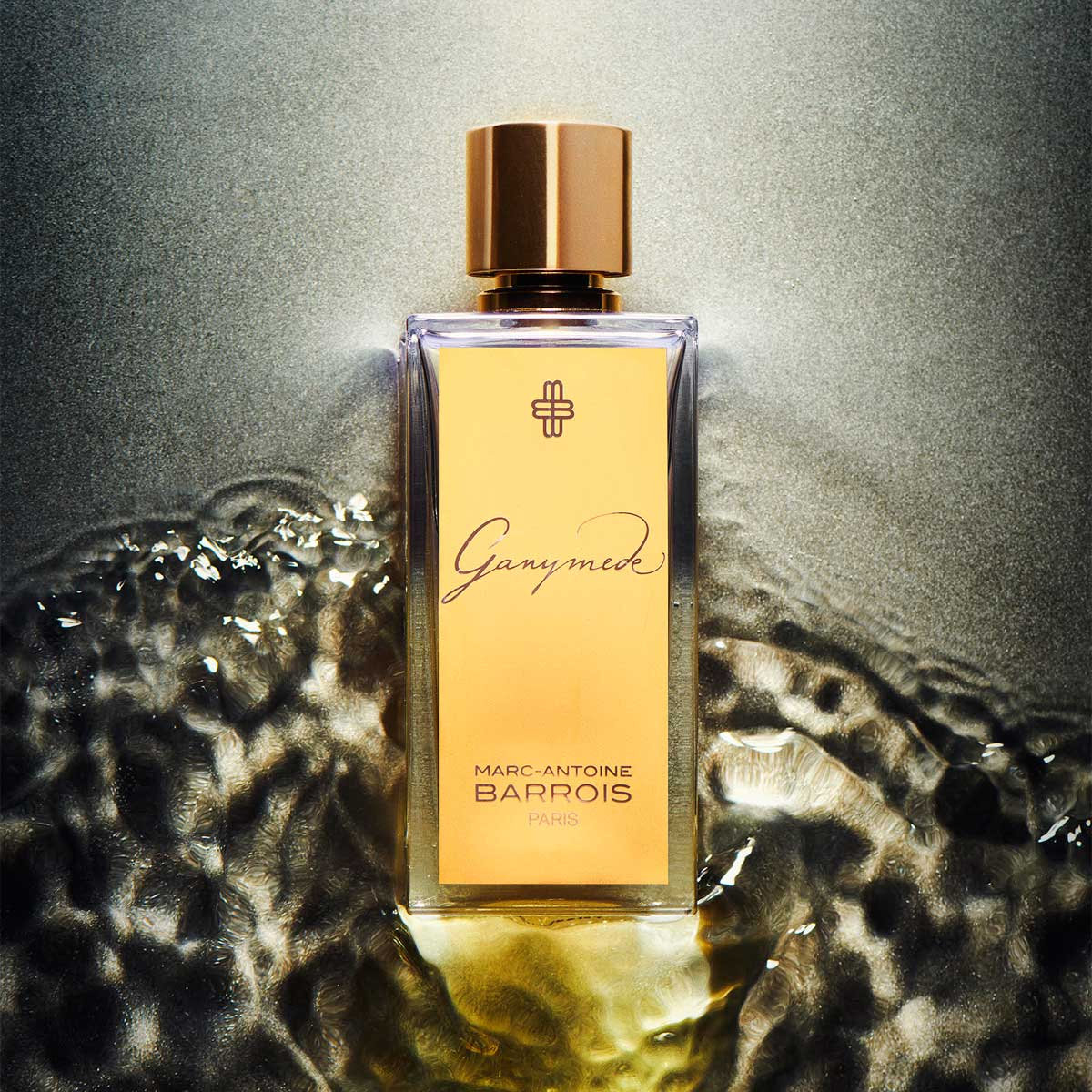 Ganymede EDP