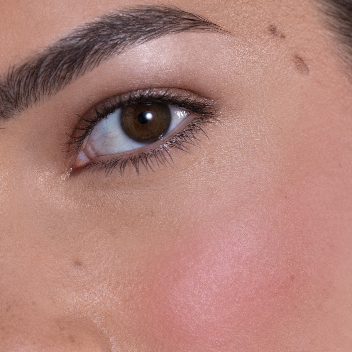 Blush Refill, The Brown Pink Blush