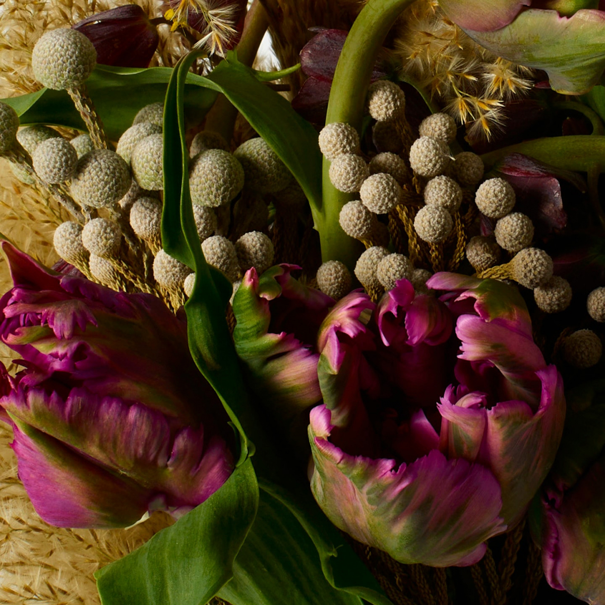 Nude Extrait de Parfum