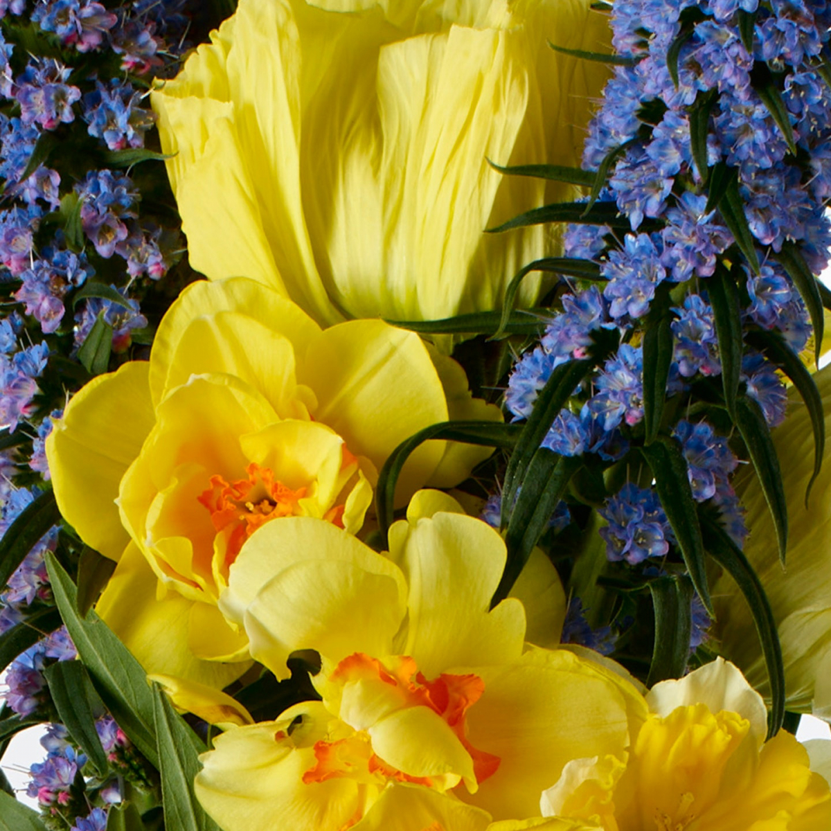 Bleu Extrait de Parfum