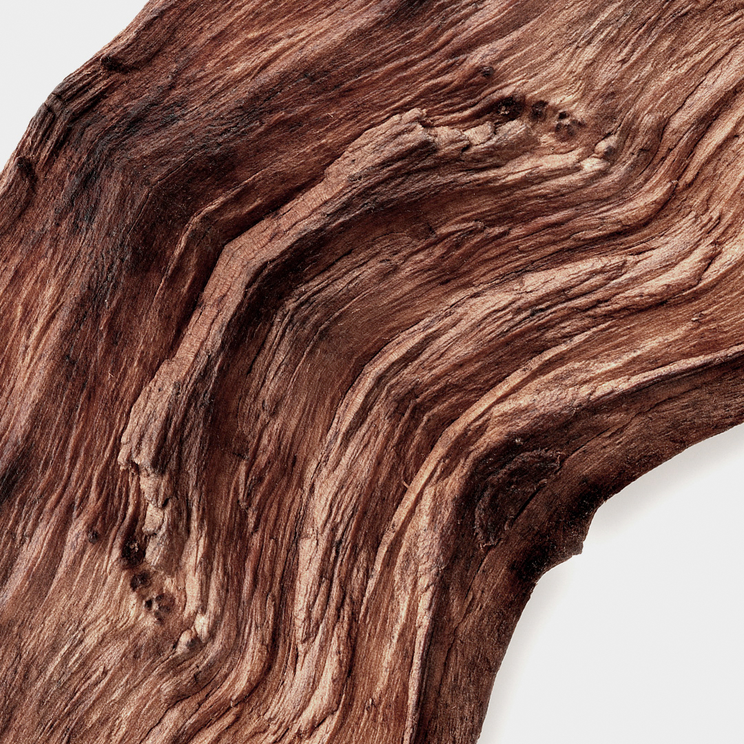 Bois D'ébène Hand and Body Wash