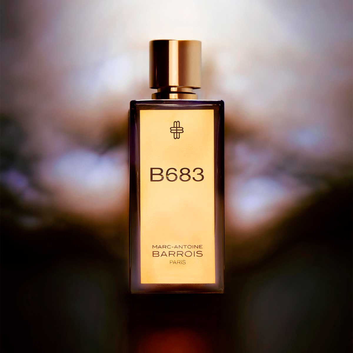 B683