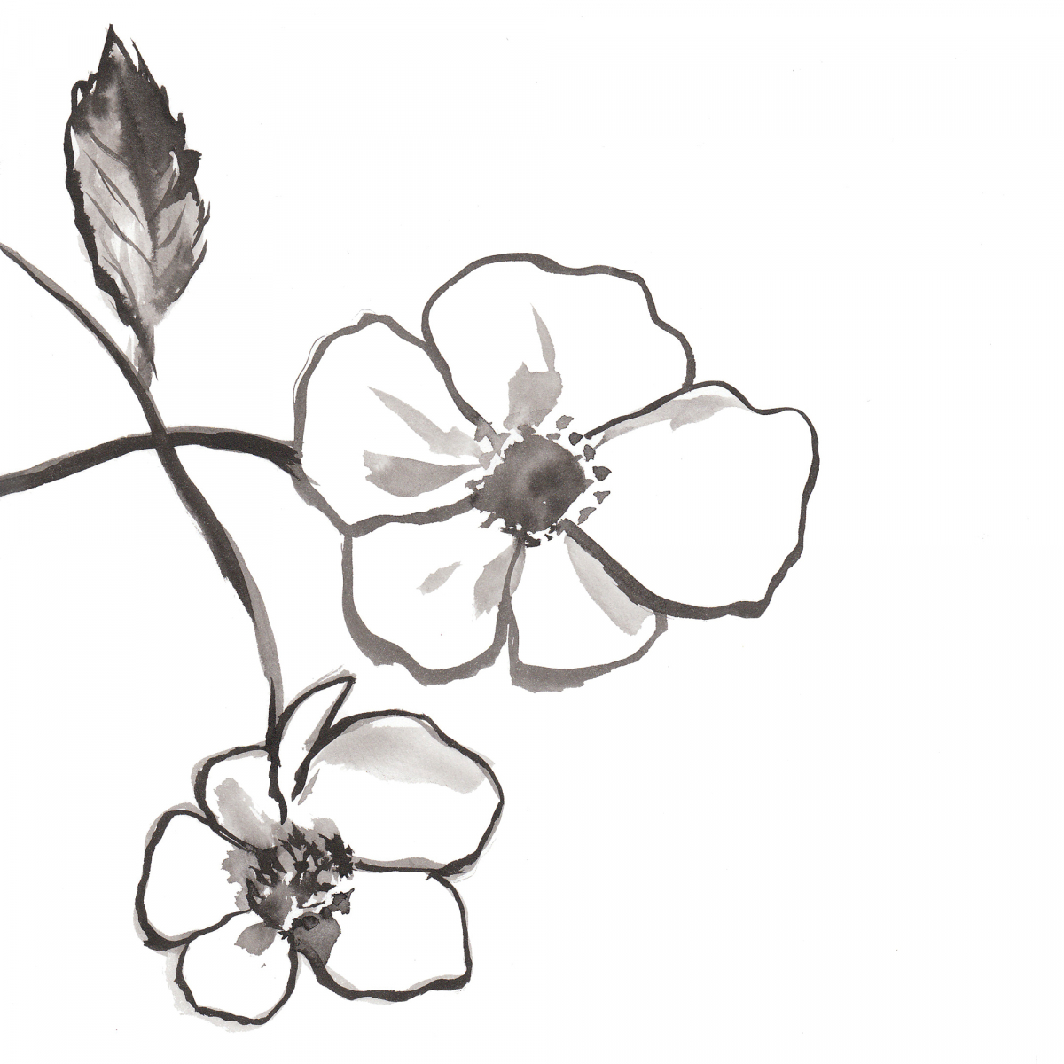 Rosa Rugosa Candle