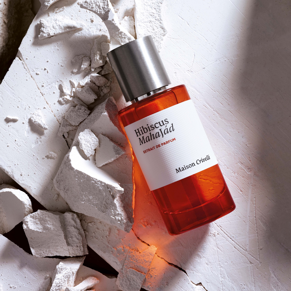 Hibiscus Mahajad Extrait