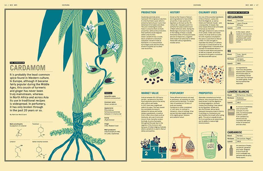 Nez Magazine – #05 Natural vs. Synthetic