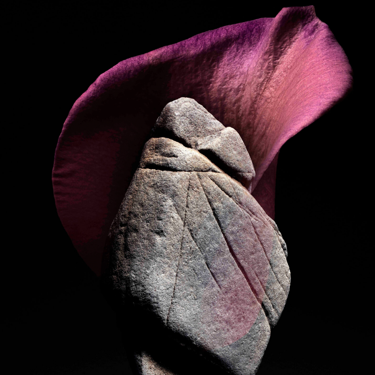 Alinea Collection EDP Rose Concrete 50 ml