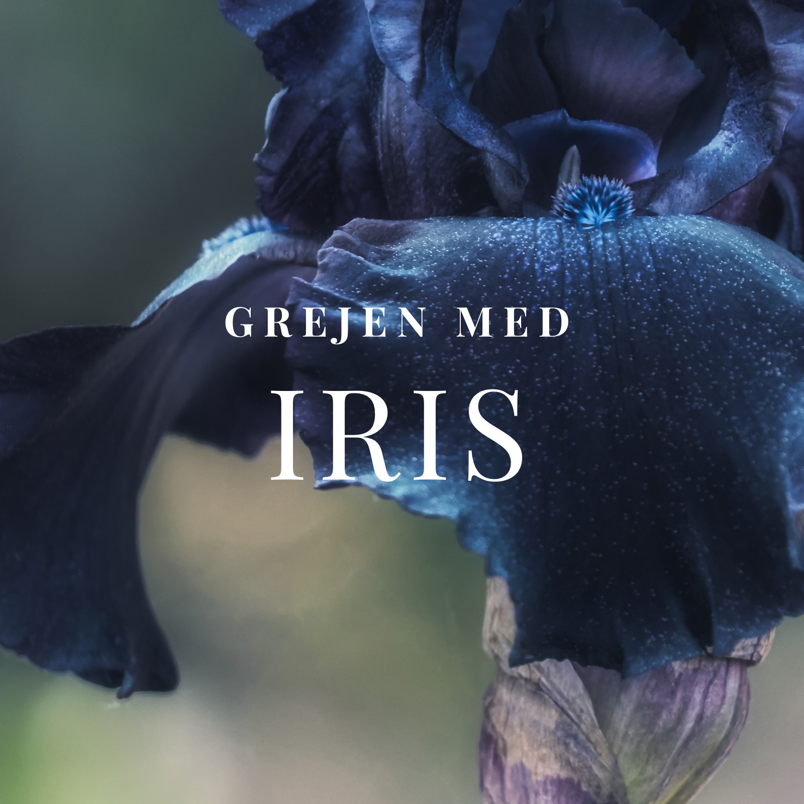 Grejen med Iris