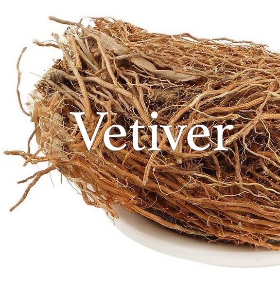 Vetiver - lugnets olja