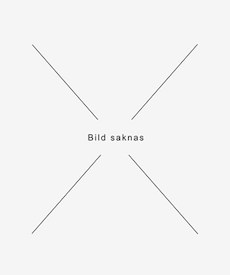 Diaphane Loose Powder Compact and Loose Powder Refill in the group Make Up / Base at COW parfymeri AB (SB048)