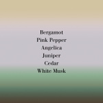 Angeliques sous la Pluie