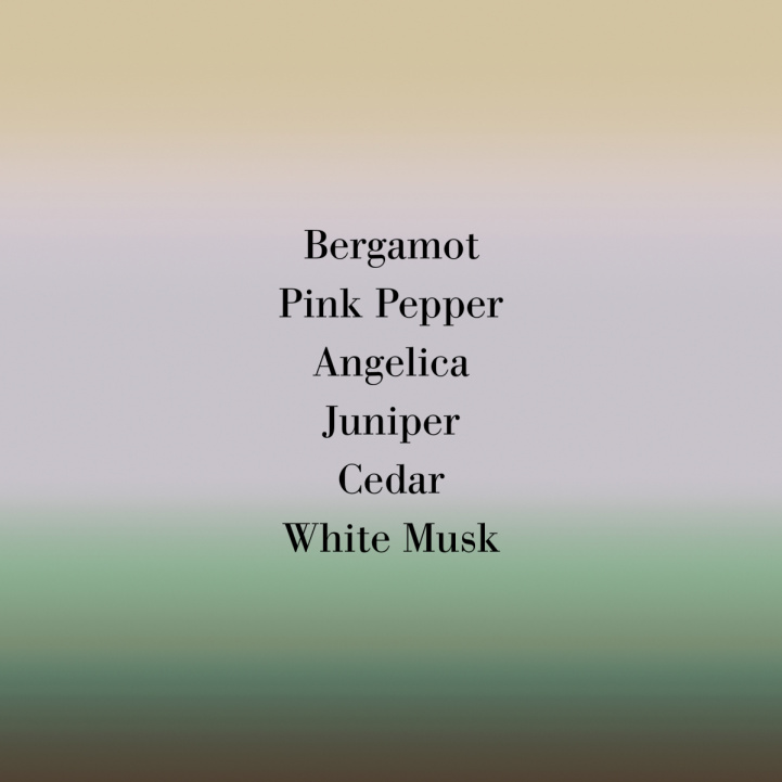 Angeliques sous la Pluie in the group Fragrance / Perfume at COW parfymeri AB (09V100)