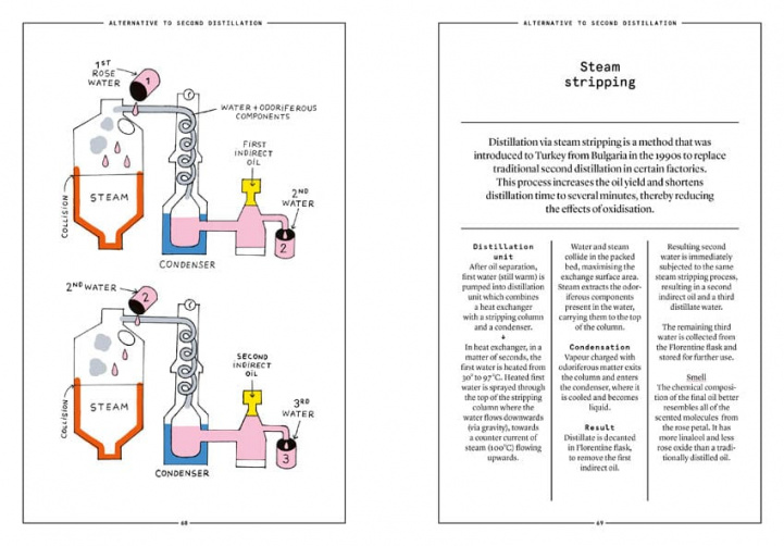Damask Rose in Perfumery -Collective i gruppen Böcker/Tidskrift hos COW parfymeri AB (100647)