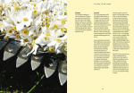 The Narcissus in Perfumery The Narcissus in Perfumery