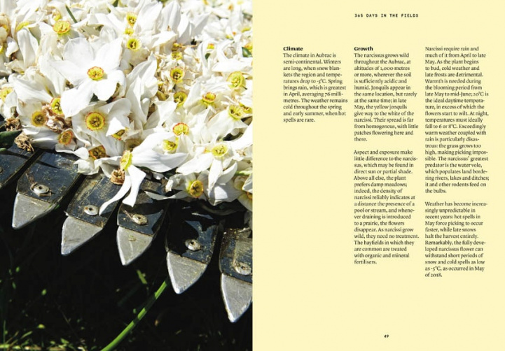 The Narcissus in Perfumery i gruppen Böcker/Tidskrift hos COW parfymeri AB (100654)