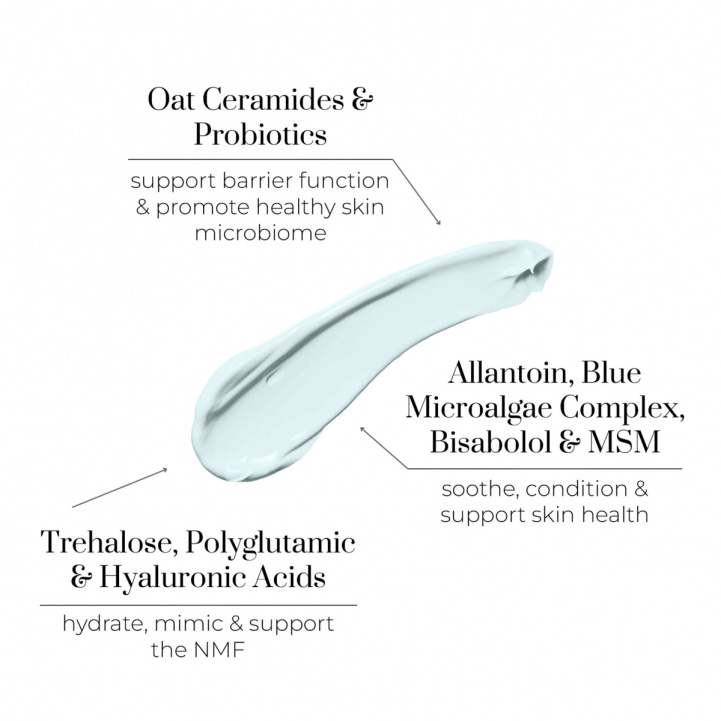 Rest day Comfort Cream in the group Skincare / Moisturizers at COW parfymeri AB (100689)