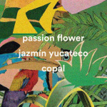 Jazmin Yucatan Jazmin Yucatan