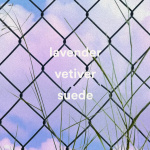 Wild Brooklyn Lavender Hand Soap Wild Brooklyn Lavender Hand Soap