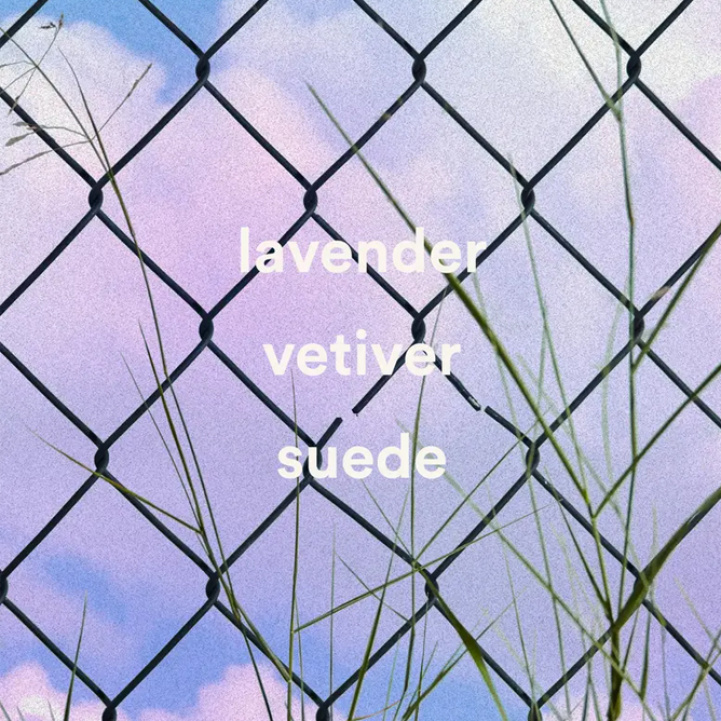 Wild Brooklyn Lavender Hand Soap in the group Bath and Body / Shower & Soap at COW parfymeri AB (100763)