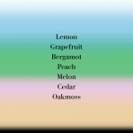 EAU DE MAGNOLIA Hand Wash