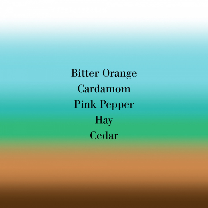 Bigarade Hand Wash i gruppen Kropp och Bad / Dusch&Tvål hos COW parfymeri AB (101072)