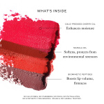 Lip Suede: Les Rouges