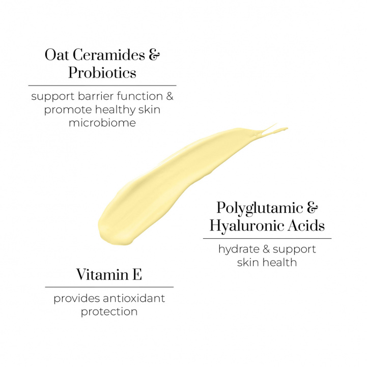 Rest Day Barrier Repair Balm in the group Skincare / Moisturizers at COW parfymeri AB (101380)
