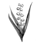 1Er Mai Scented Cartridge