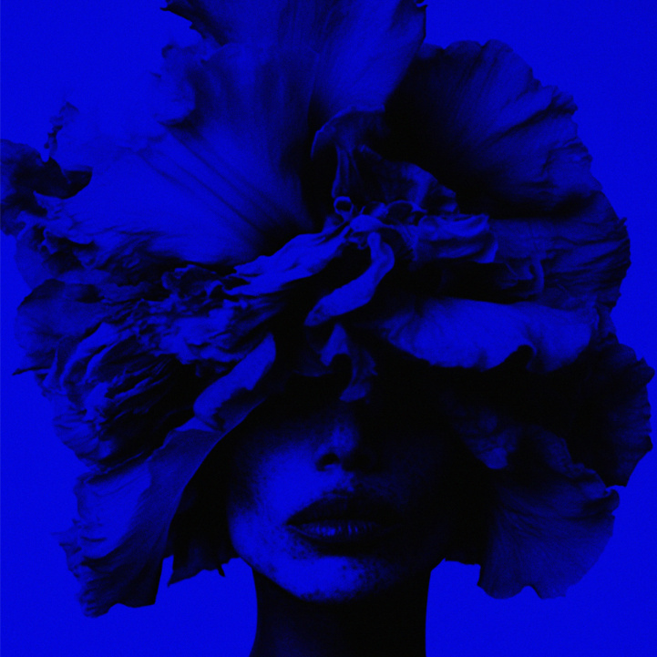 Iris Wallpaper i gruppen Doft / Parfym hos COW parfymeri AB (101436)