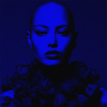 Rainbow Rose Rainbow Rose