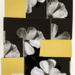 W.T. Sweet Disruption