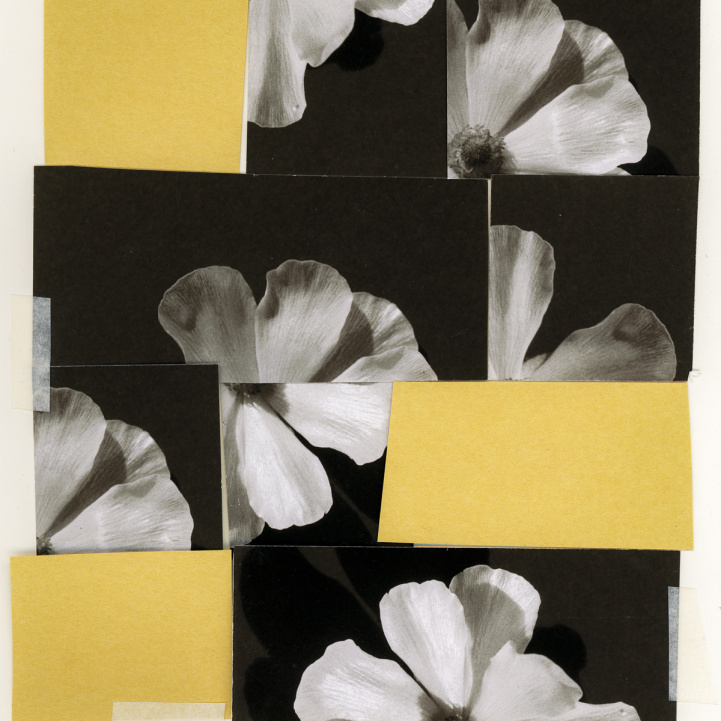 W.T. Sweet Disruption in the group Fragrance / Perfume at COW parfymeri AB (101465)