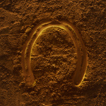 Oud Stallion Oud Stallion