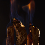 Oud Stallion Oud Stallion