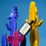 Frida\'s Thorns Frida\'s Thorns