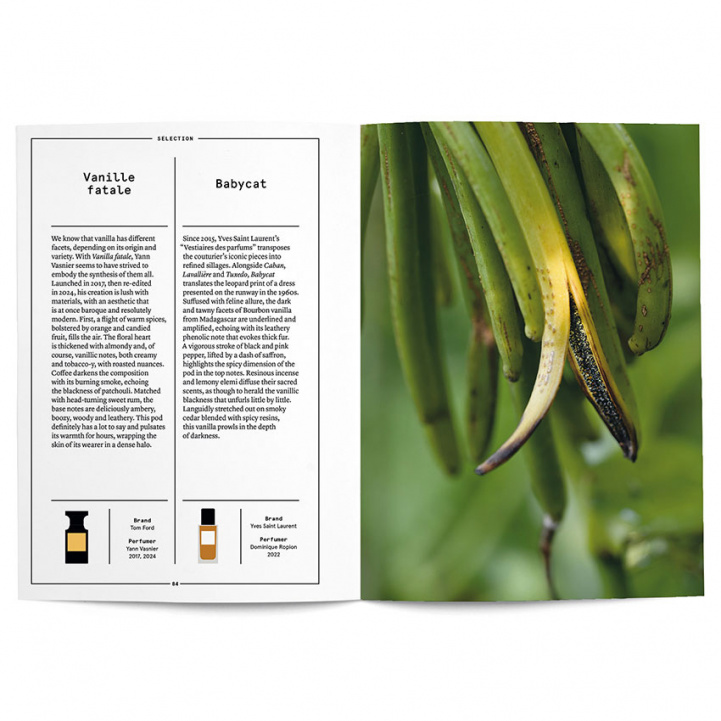 Vanilla in Perfumery - Collective in the group at COW parfymeri AB (101599)