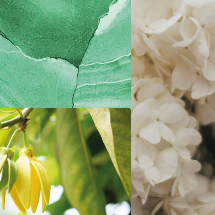 Dialogue with Venus in the group Fragrance / Perfume at COW parfymeri AB (101614)