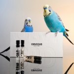 Discovery Set Obvious