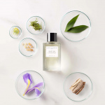 Velvet Iris Velvet Iris