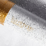 Skin and Makeup Enhancing Mist