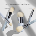 Complexion Brush Collection