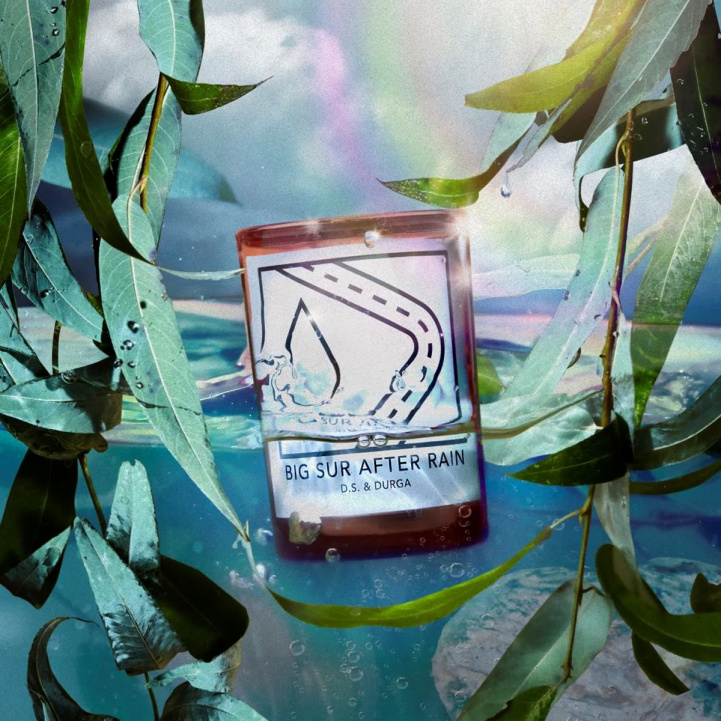 Big Sur After Rain Candle in the group Fragrance / Candles at COW parfymeri AB (101964)