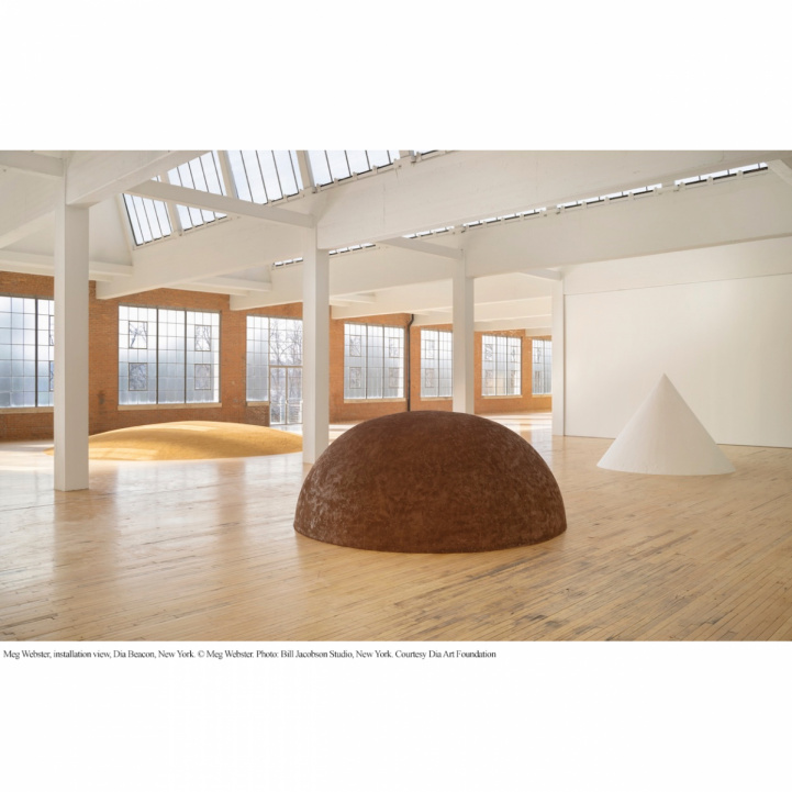 Dia x Meg Webster i gruppen Doft / Parfym hos COW parfymeri AB (102015)