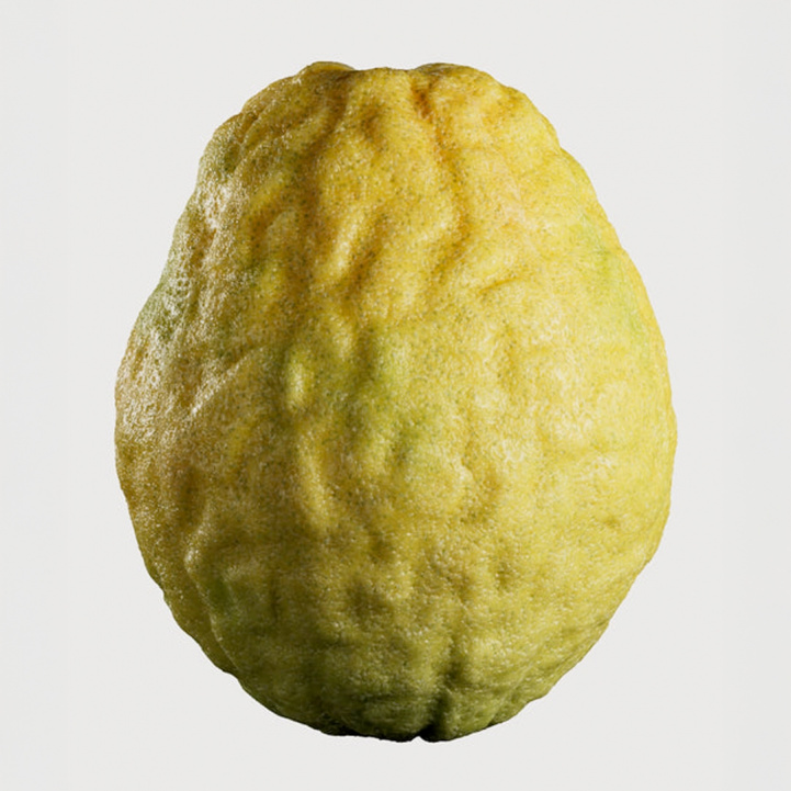 Cologne Cedrat Body and Hand Wash i gruppen Kropp och Bad / Dusch&Tvål hos COW parfymeri AB (102039)