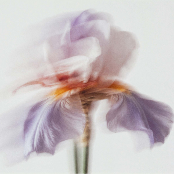 BLANC SADA i gruppen Doft / Parfym hos COW parfymeri AB (102045)