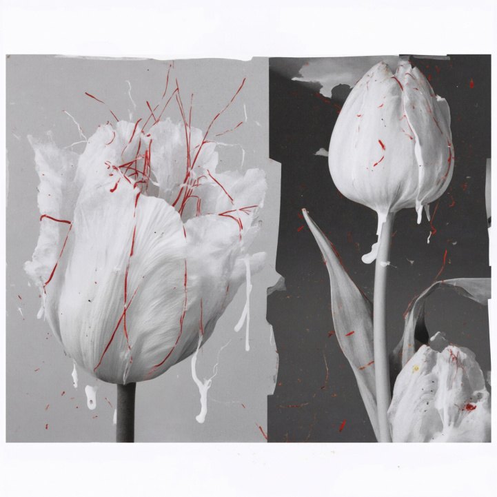 SEMENCE DOUCE i gruppen Doft / Parfym hos COW parfymeri AB (102047)