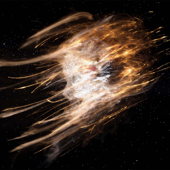 ALTAMURA i gruppen Doft / Parfym hos COW parfymeri AB (102048)