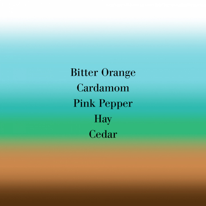 Bigarade lotion i gruppen Doft / Body Lotion hos COW parfymeri AB (10LC200)