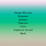 Lys Mediterranee Body Wash