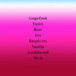 Lipstick Rose Body Wash