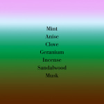 Geranium pour Monsieur